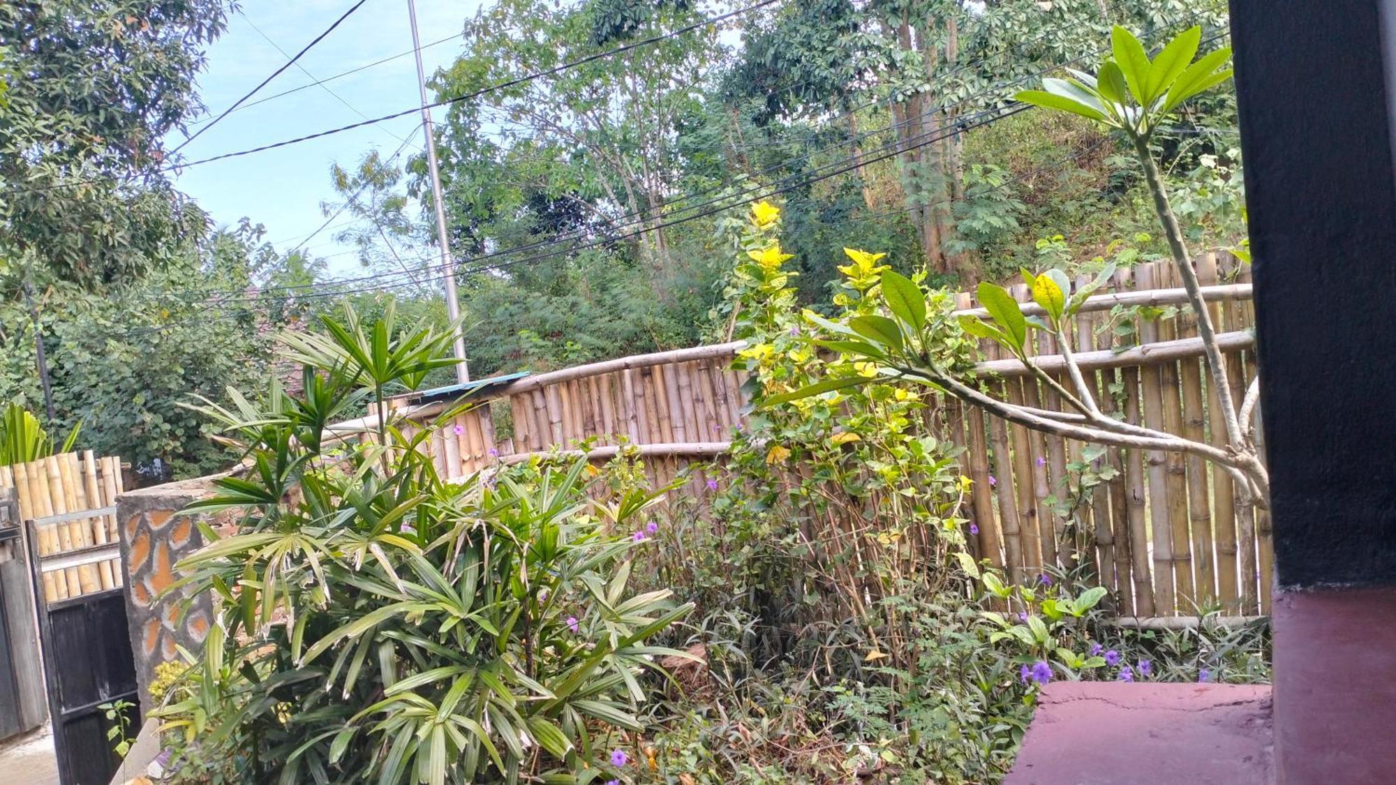 Palm Homestay Kuta Kuta  Kültér fotó