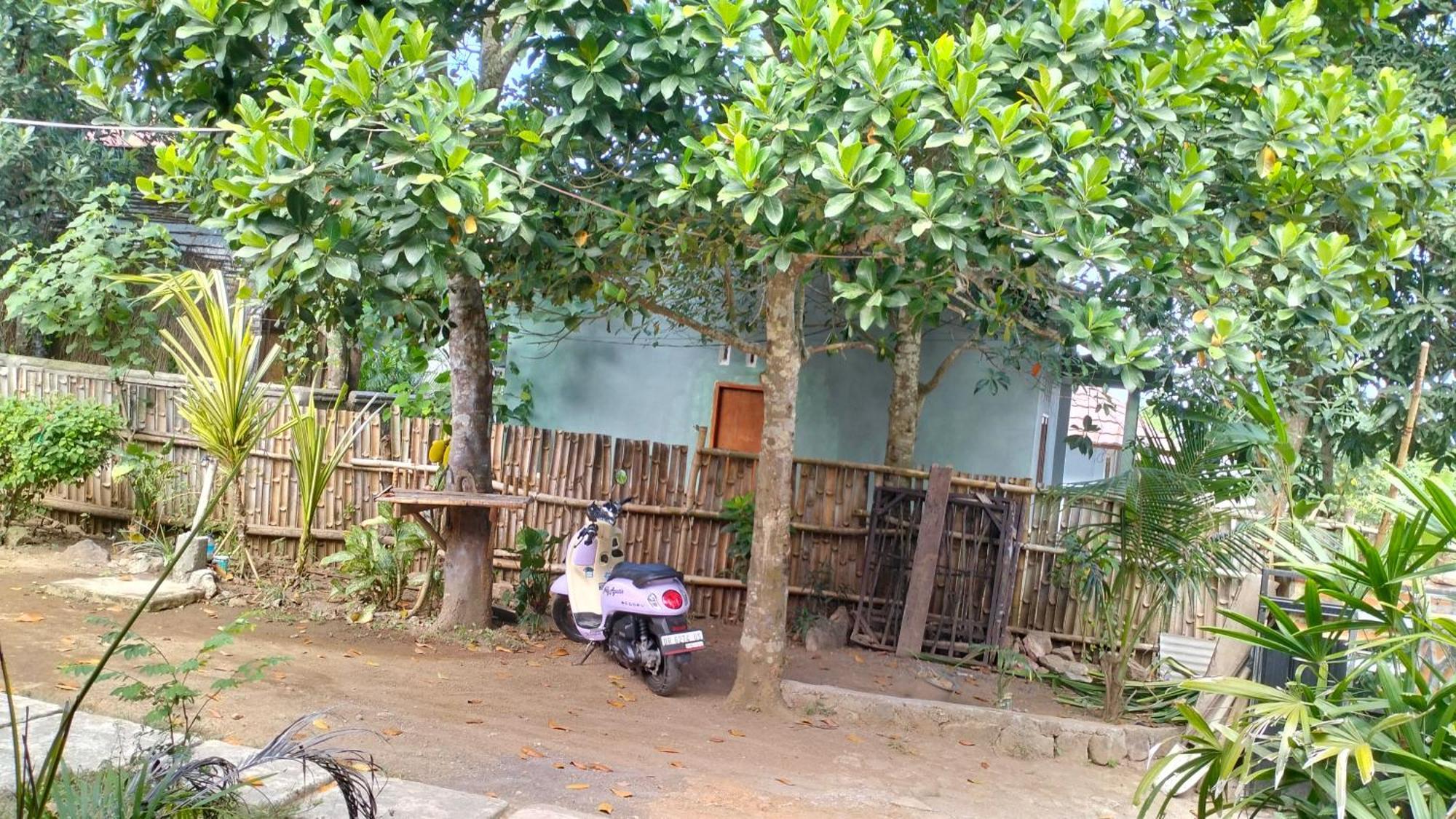 Palm Homestay Kuta Kuta  Kültér fotó