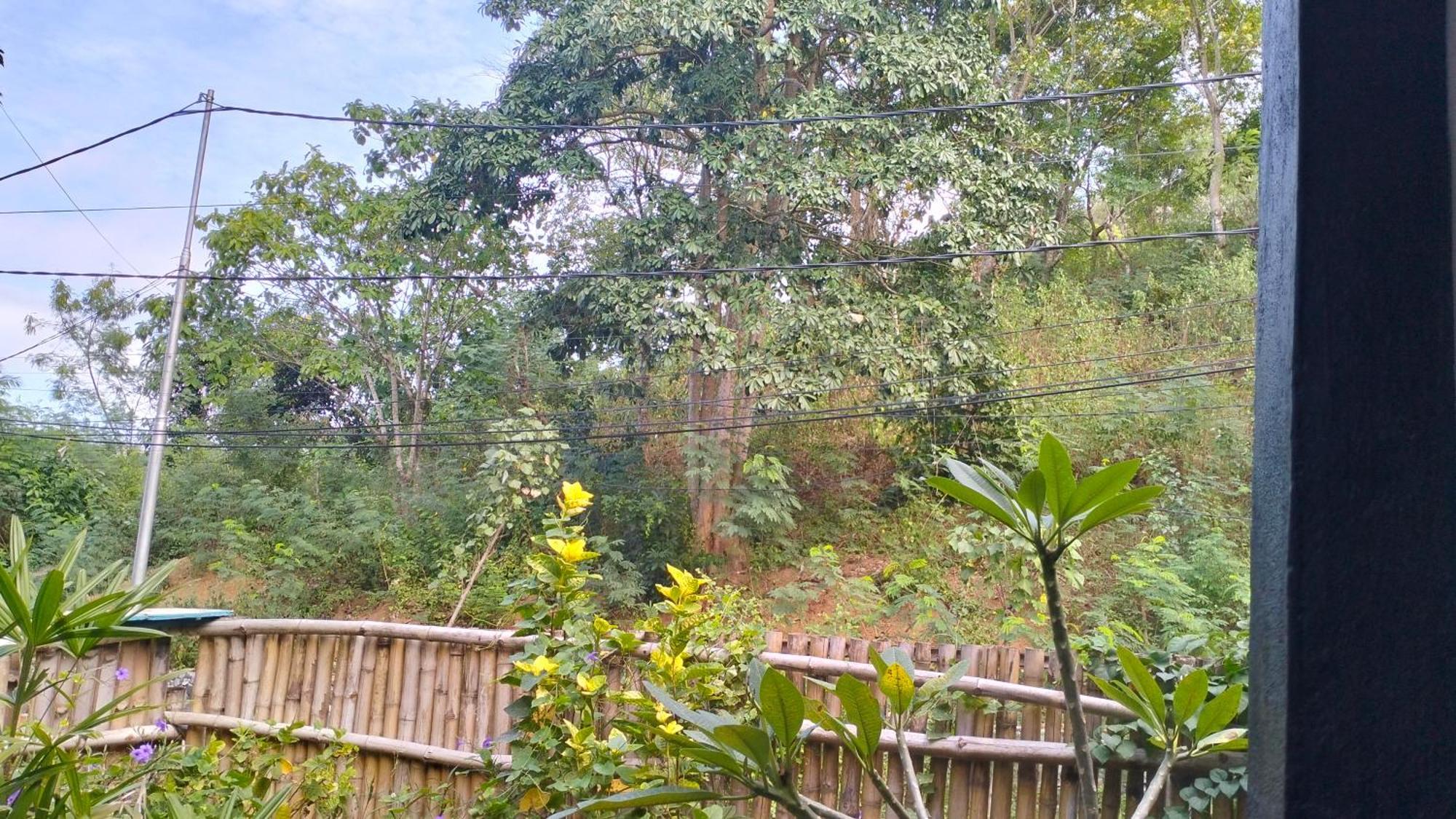 Palm Homestay Kuta Kuta  Kültér fotó