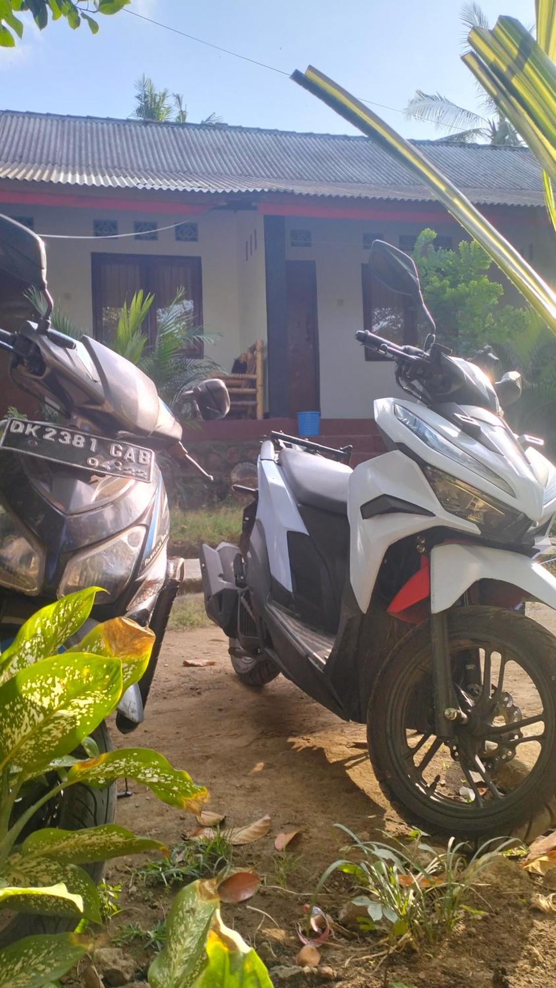 Palm Homestay Kuta Kuta  Kültér fotó