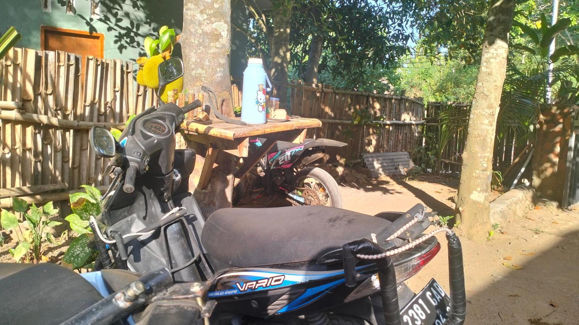 Palm Homestay Kuta Kuta  Kültér fotó