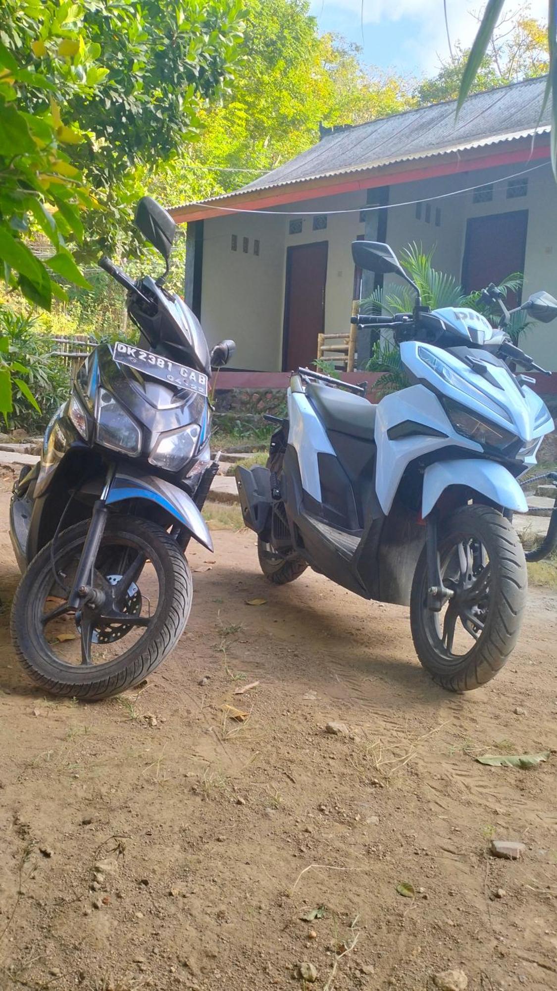 Palm Homestay Kuta Kuta  Kültér fotó